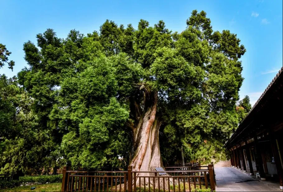 微信图片_20241014163108.png 微信图片_20241014163108.png